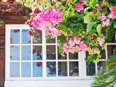 TFS - 192 Finca Ferienhaus Fenster zum Garten