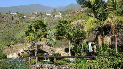 La Palma Finca P-184 Idyllischer Gartenbereich